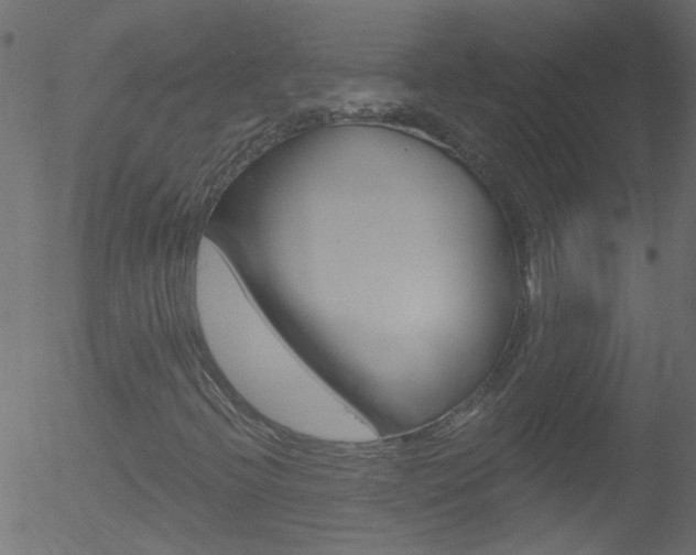X0000052641396200507010956