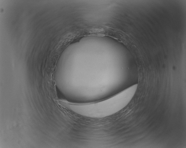 X0000052641441200507010956