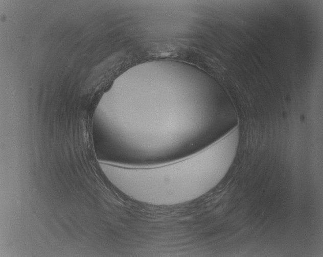 X0000052641442200507010956