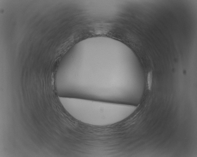 X0000052641443200507010956