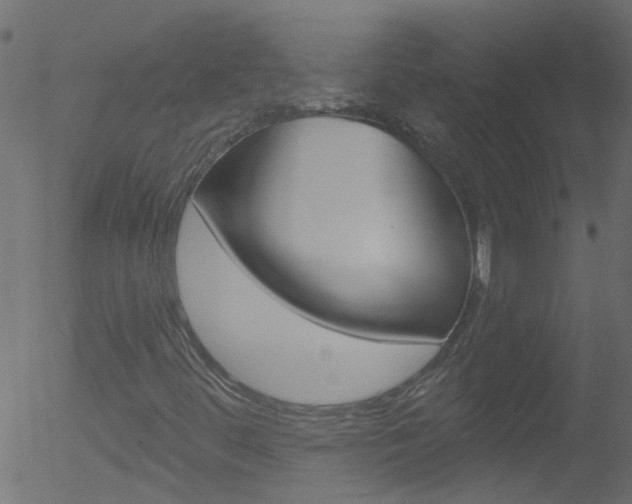 X0000052641444200507010956