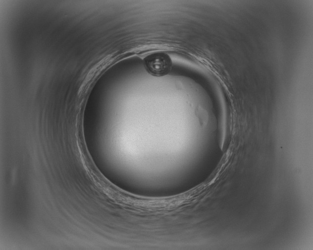 X0000052640001200507011358