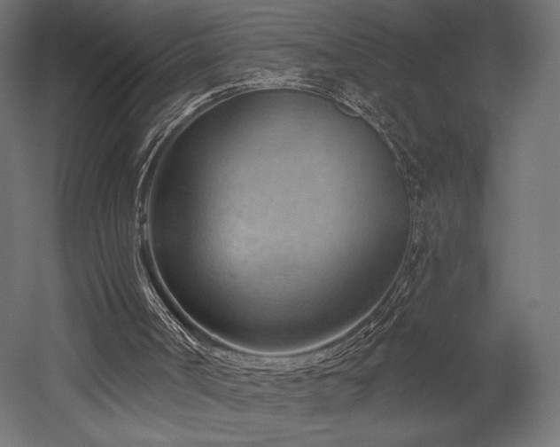 X0000052640002200507011358