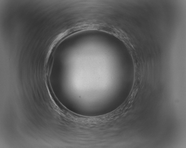 X0000052640003200507011358