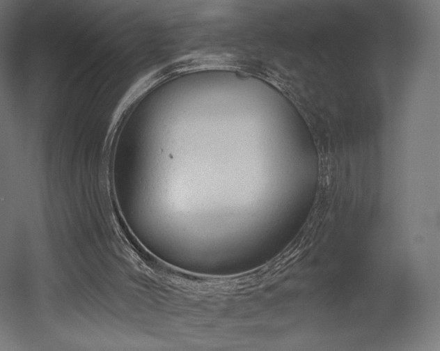 X0000052640004200507011358