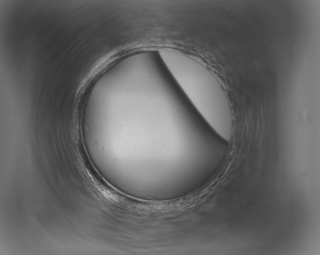 X0000052640005200507011358