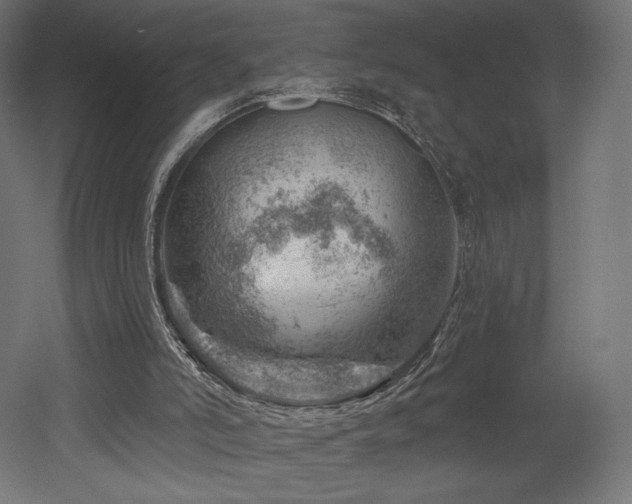 X0000052640006200507011358