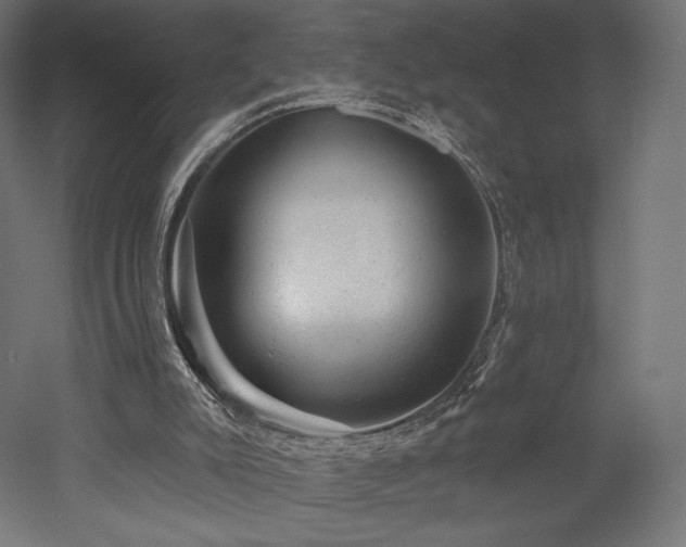 X0000052640007200507011358