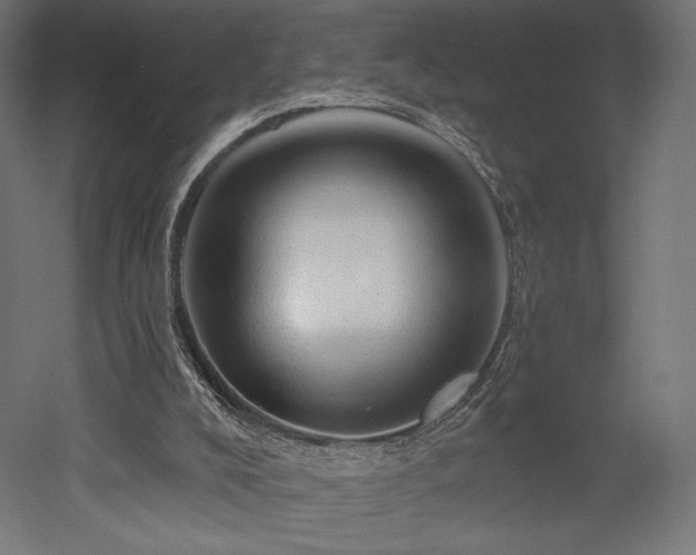 X0000052640008200507011358