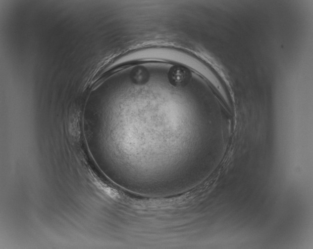 X0000052640009200507011358