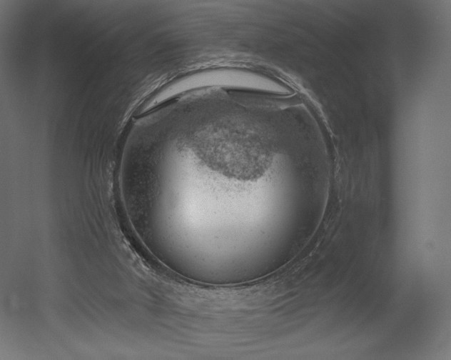 X0000052640010200507011358