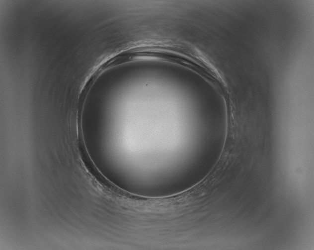 X0000052640011200507011358