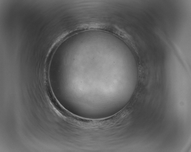 X0000052640012200507011358