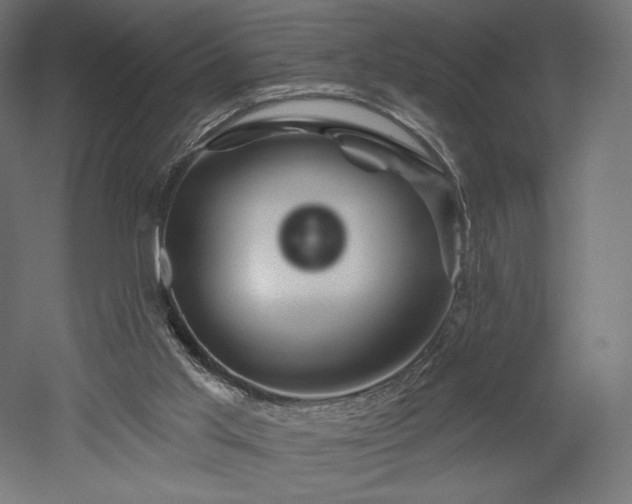 X0000052640013200507011358