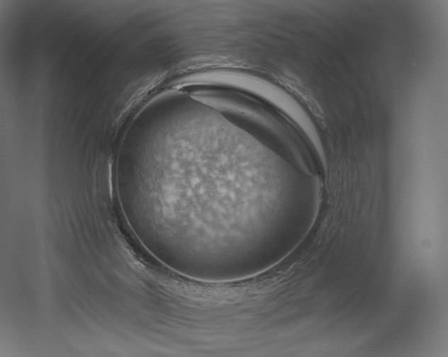 X0000052640014200507011358