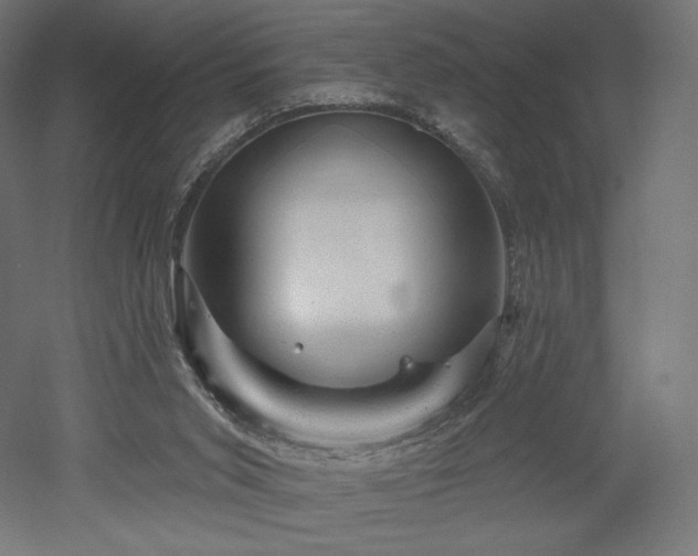 X0000052640015200507011358