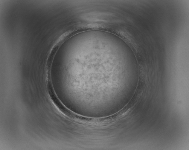 X0000052640016200507011358