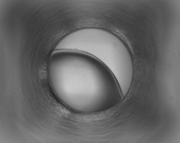 X0000052640017200507011358