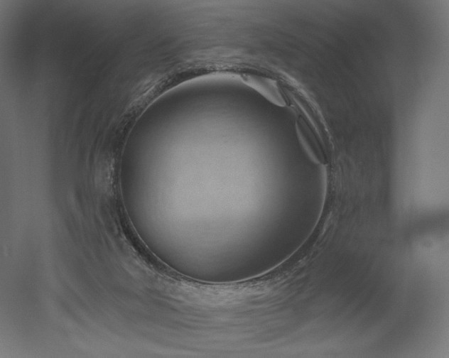 X0000052640018200507011358