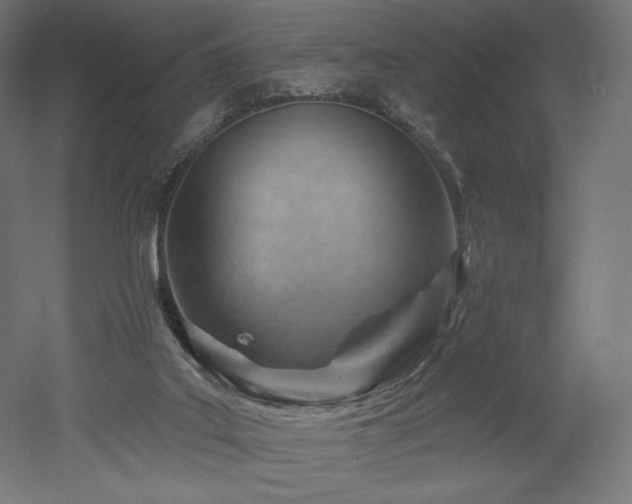 X0000052640019200507011358