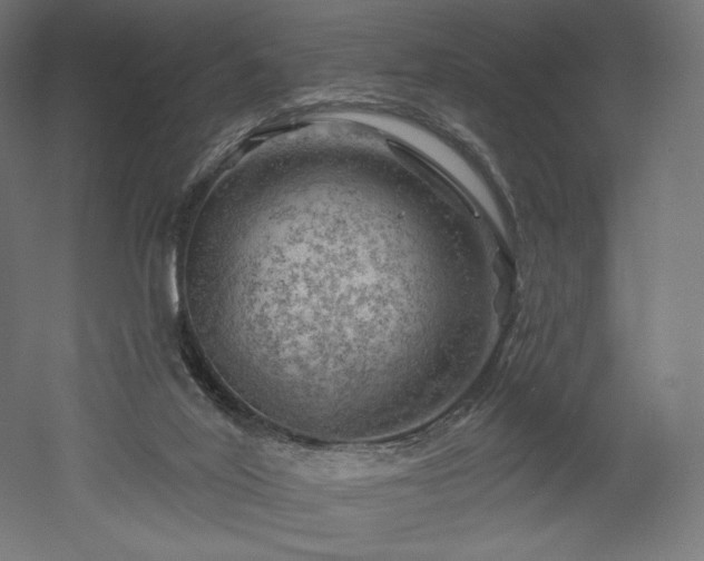 X0000052640020200507011358