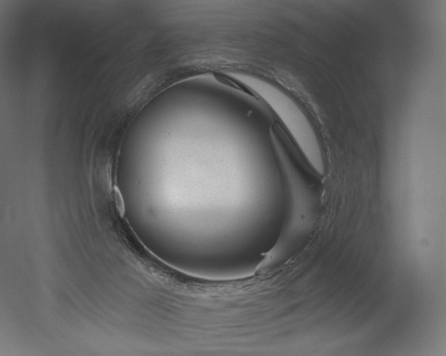 X0000052640021200507011358