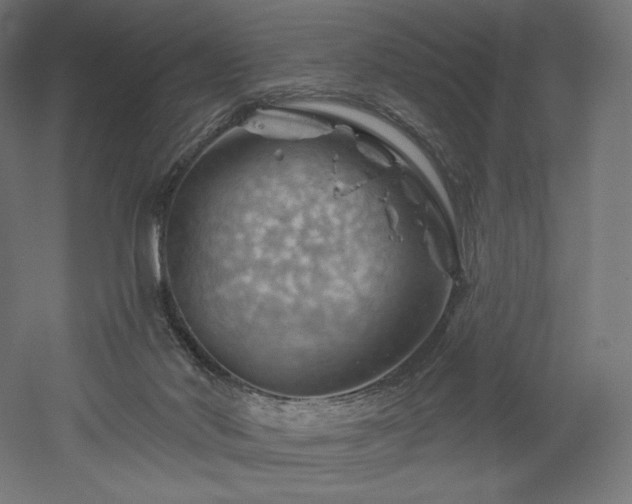 X0000052640022200507011358