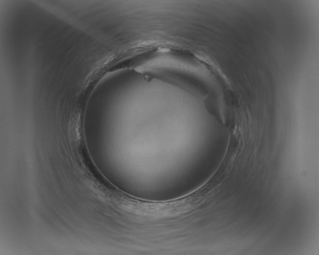 X0000052640023200507011358