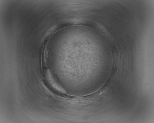 X0000052640024200507011358