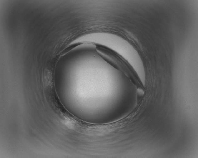 X0000052640025200507011358