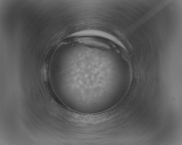 X0000052640026200507011358