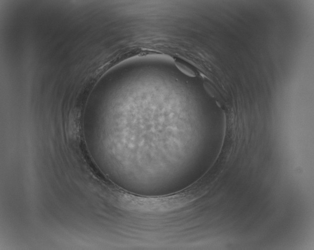 X0000052640030200507011358