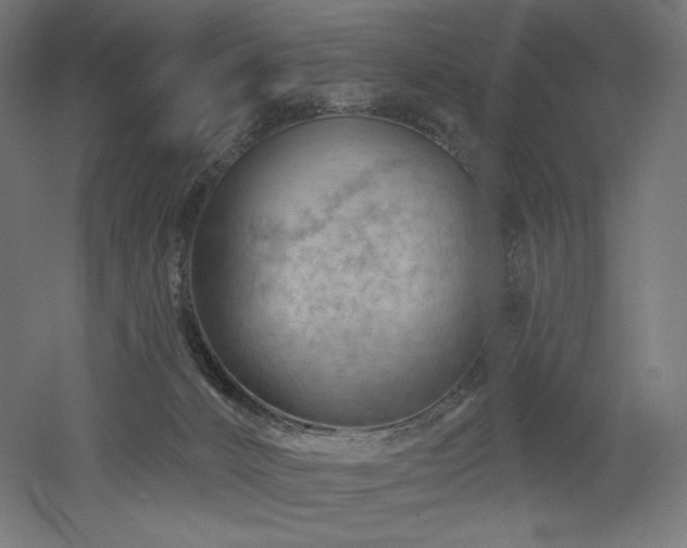 X0000052640032200507011358