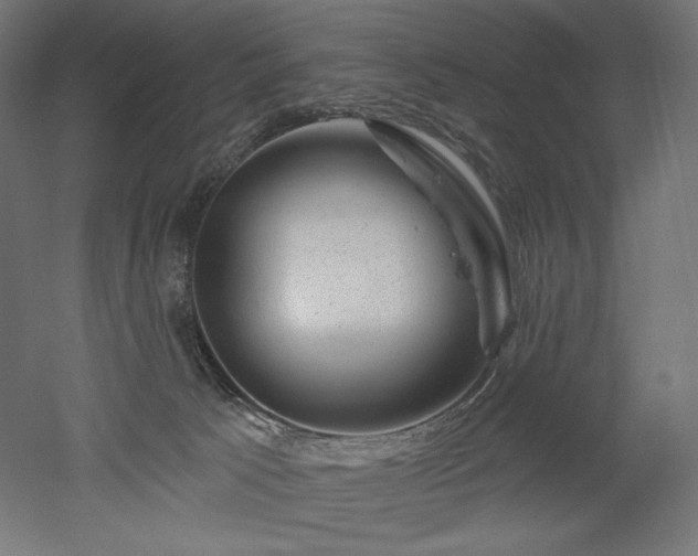 X0000052640033200507011358