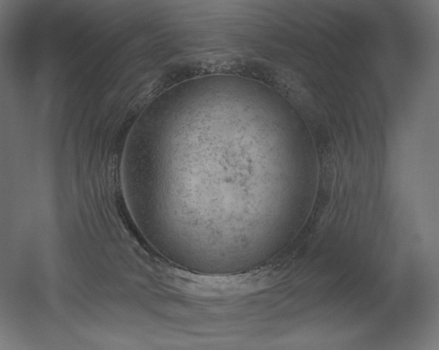 X0000052640034200507011358