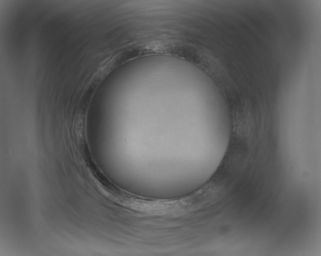 X0000052640036200507011358