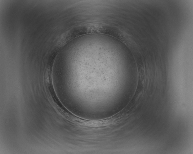 X0000052640038200507011358