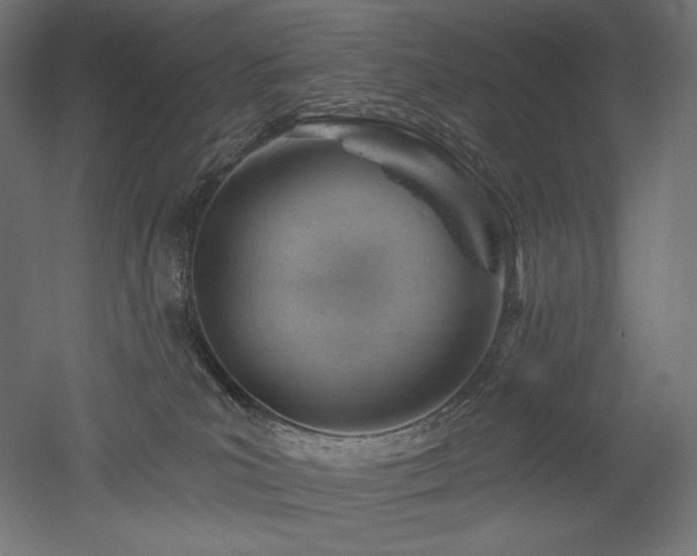 X0000052640039200507011358