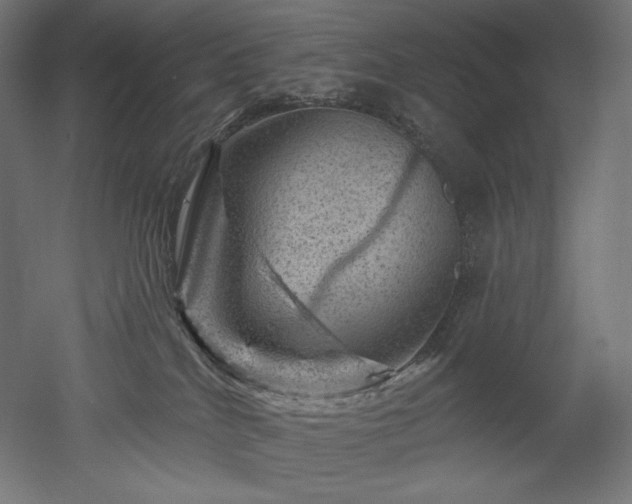 X0000052640040200507011358