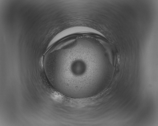 X0000052640041200507011358