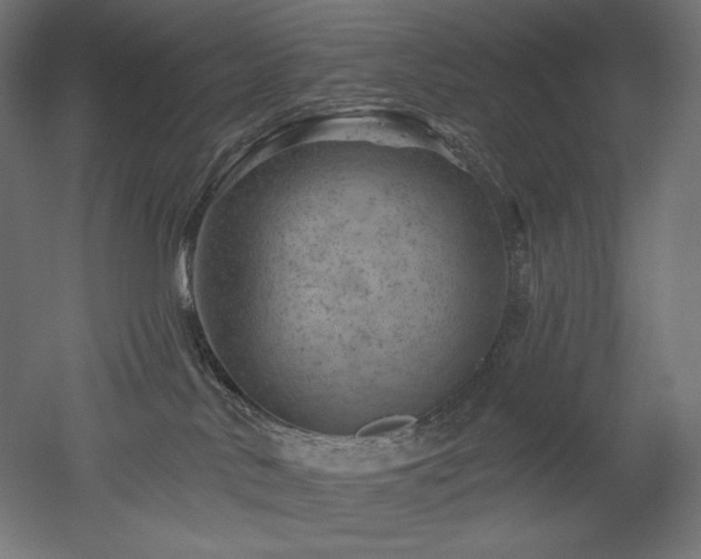 X0000052640042200507011358