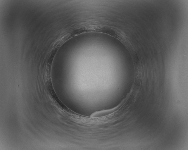 X0000052640043200507011358