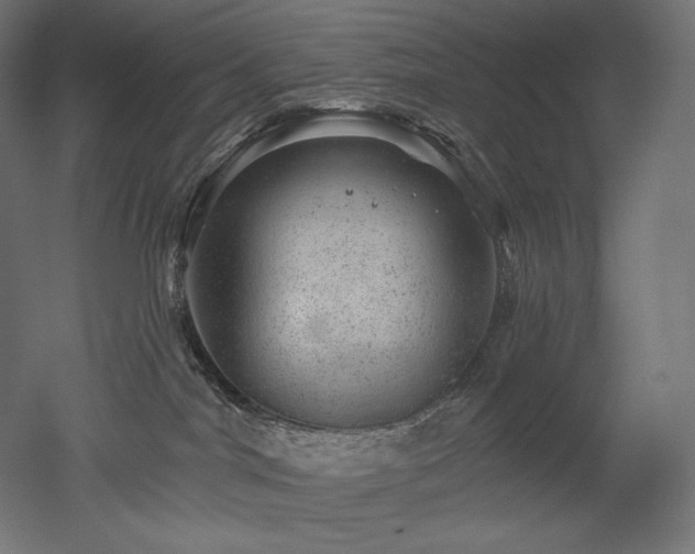 X0000052640044200507011358