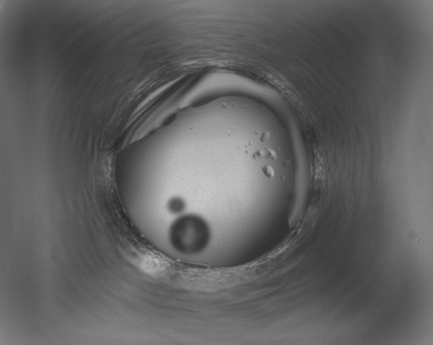 X0000052640045200507011358