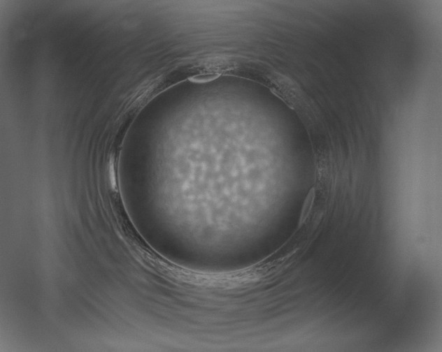 X0000052640046200507011358