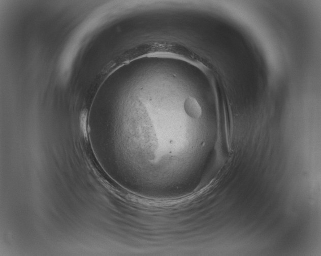 X0000052640047200507011358