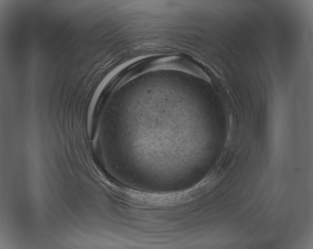 X0000052640048200507011357