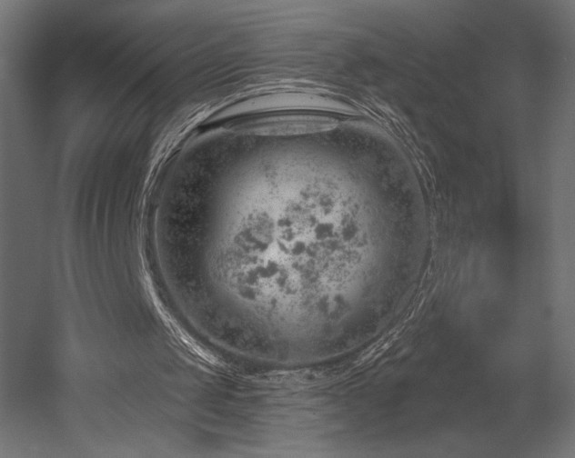 X0000052640049200507011357