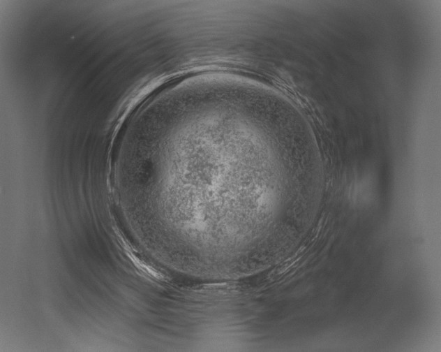 X0000052640050200507011357