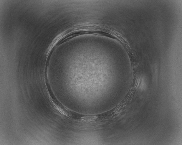 X0000052640051200507011357